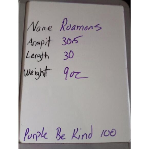 2 For 30 Roaman's Shirt Ladies 4x‎ Green Lace Detail Short Sleeve V-Neck - Picture 5 of 6